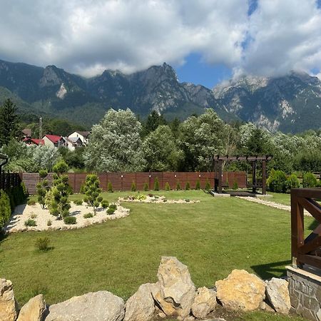 Casuta Doi Ponei Villa Buşteni Екстериор снимка