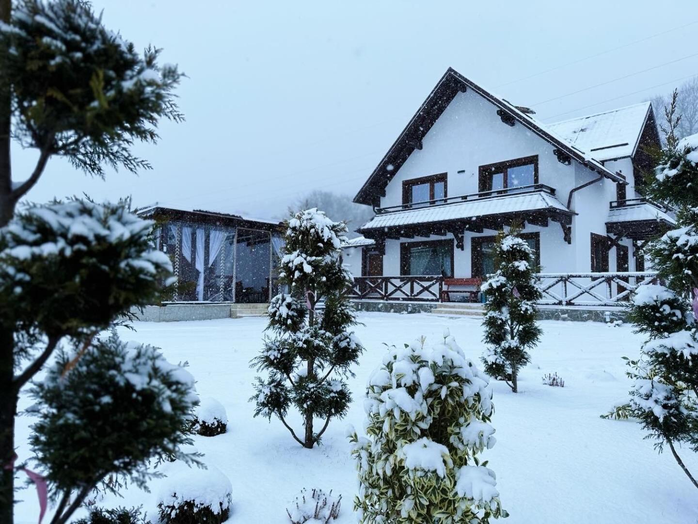 Casuta Doi Ponei Villa Buşteni Екстериор снимка